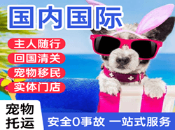 青山机场快递国际宠物托运 【国